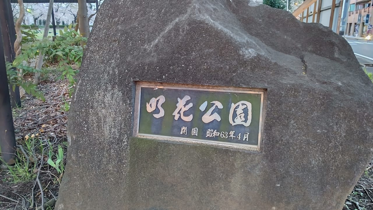 明花公園　遊具2