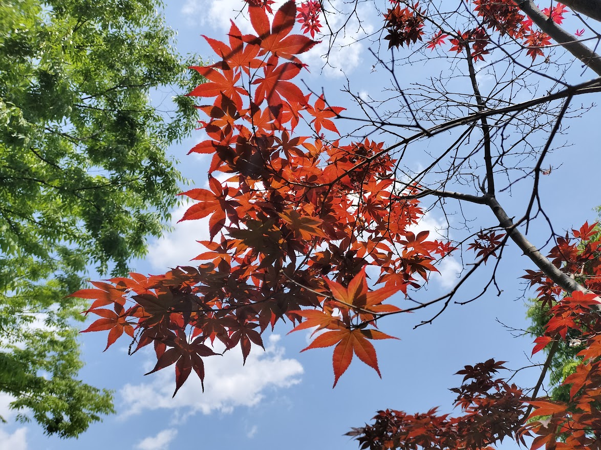 岩槻城址公園