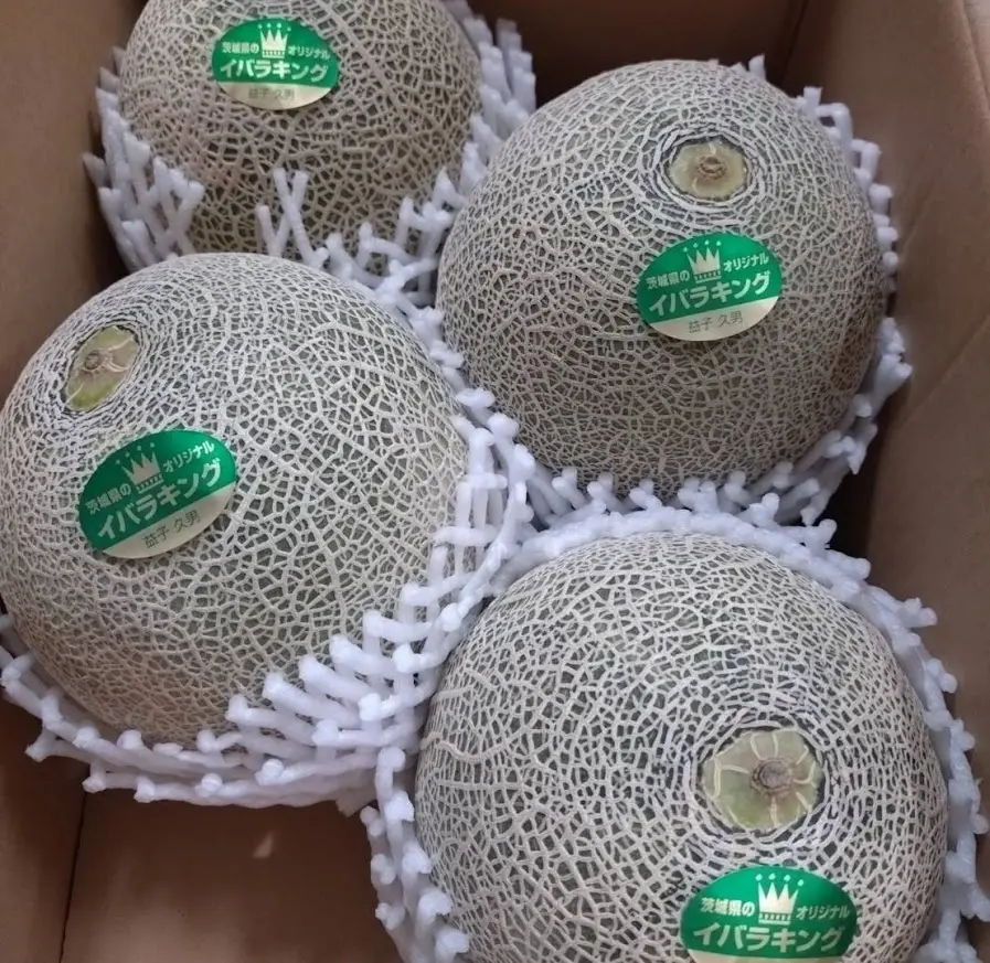 北戸田 販売会3