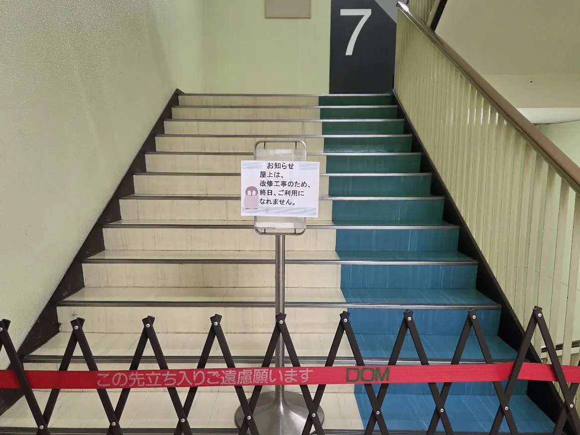 ドン　屋上