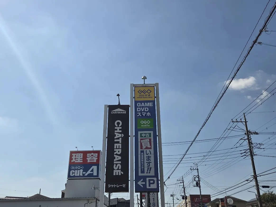 ゲオ　岩槻